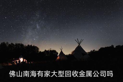 佛山南海有家大型回收金属公司吗