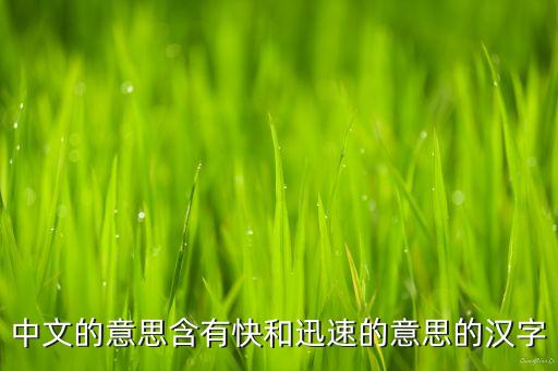 中文的意思含有快和迅速的意思的汉字