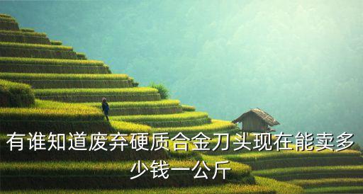 有谁知道废弃硬质合金刀头现在能卖多少钱一公斤