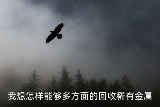 我想怎样能够多方面的回收稀有金属