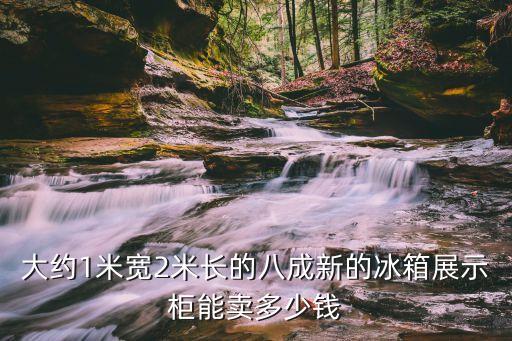 大约1米宽2米长的八成新的冰箱展示柜能卖多少钱