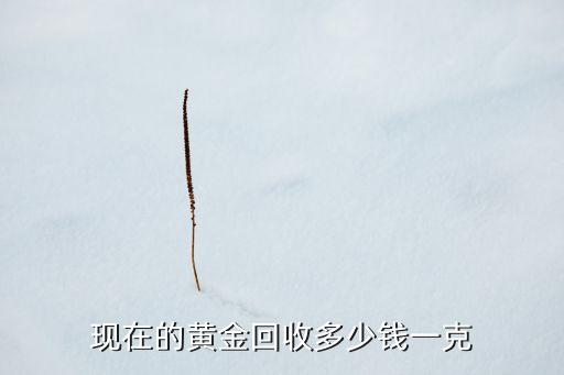 黄金项链回收多少钱一克，黄金项链回收的价格是多少钱一克