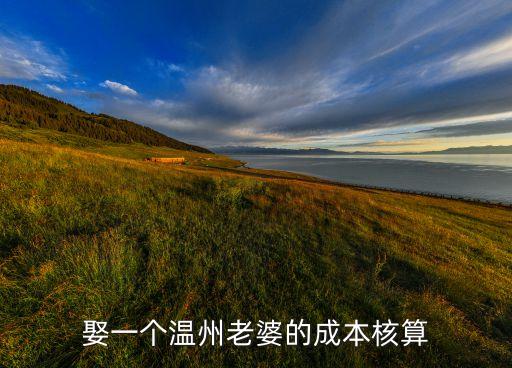 娶一个温州老婆的成本核算