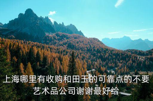 上海哪里回收和田玉，上海哪有收玉的典当行