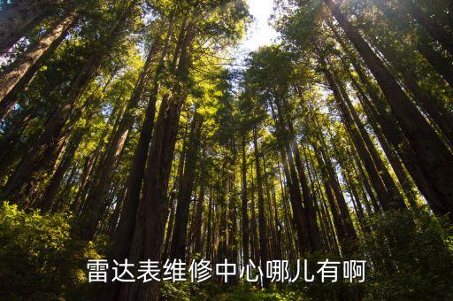 雷达表官方维修中心，雷达表维修中心哪儿有啊
