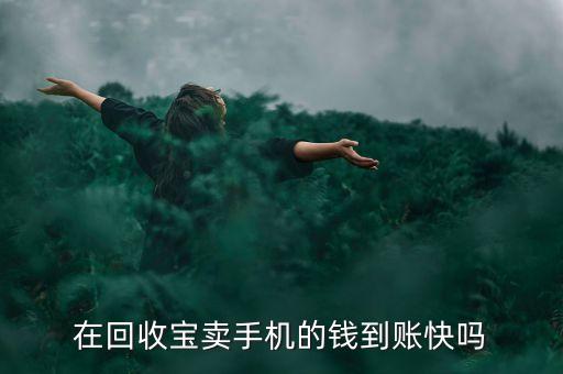 在回收宝卖手机的钱到账快吗