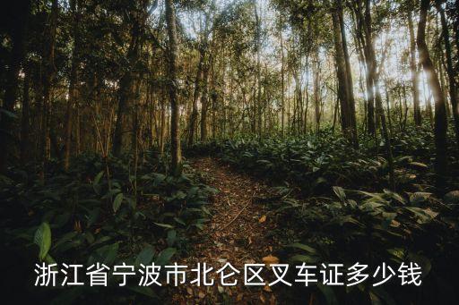 浙江省宁波市北仑区叉车证多少钱