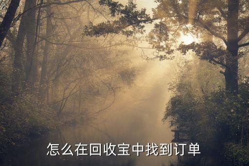 回收宝怎么查看订单，怎么在回收宝中找到订单