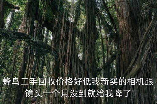 蜂鸟回收怎么样，蜂鸟团队到底靠谱吗哪位知道说说看