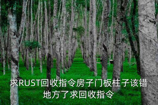 rust回收器怎么用，求RUST回收指令房子门板柱子该错地方了求回收指令