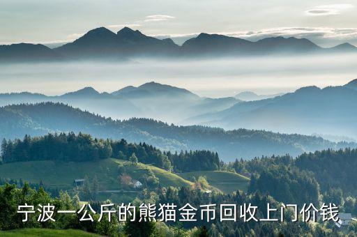宁波一公斤的熊猫金币回收上门价钱