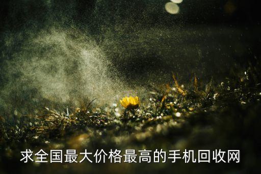 求全国最大价格最高的手机回收网