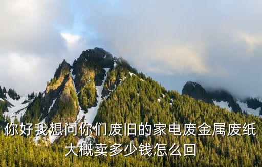 你好我想问你们废旧的家电废金属废纸大概卖多少钱怎么回