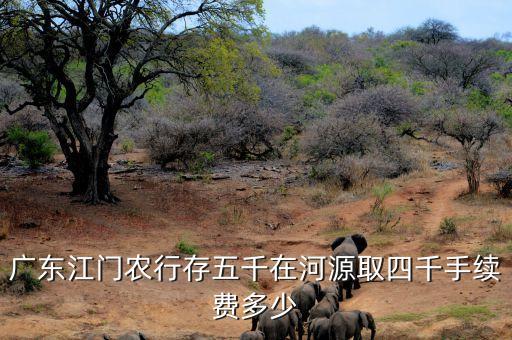 广东江门农行存五千在河源取四千手续费多少
