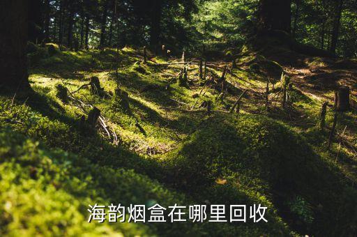 海韵烟盒在哪里回收