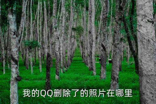 我的QQ删除了的照片在哪里