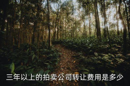 三年以上的拍卖公司转让费用是多少