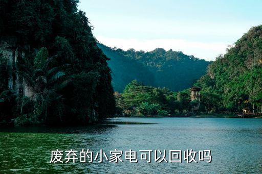 废弃的小家电可以回收吗