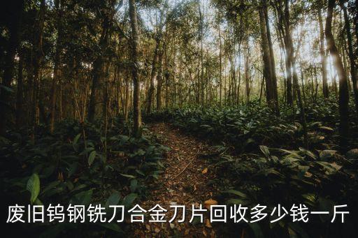 废旧钨钢铣刀合金刀片回收多少钱一斤