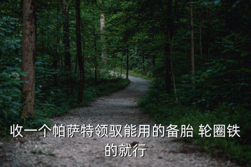 收一个帕萨特领驭能用的备胎 轮圈铁的就行