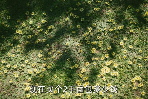 回收面包的价格是多少，现在买个2手面包多少钱