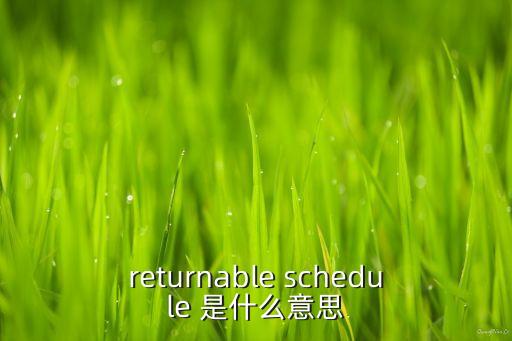 returnable schedule 是什么意思