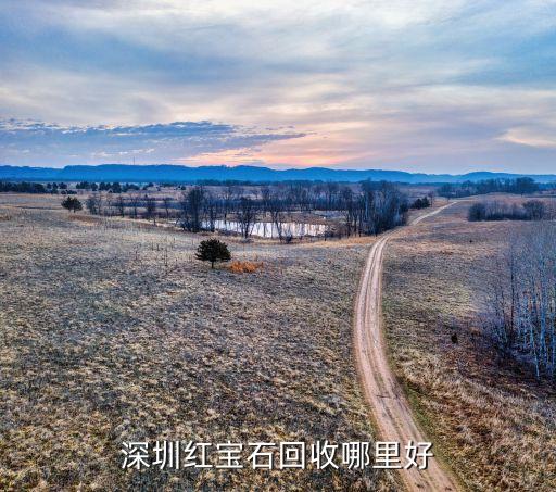 红宝石镶金怎么回收，老鳯祥黄金红宝石耳钉回收吗