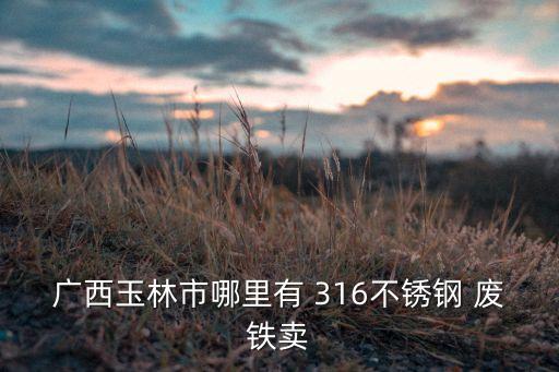 广西玉林市哪里有 316不锈钢 废铁卖