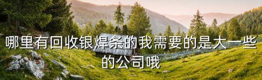 哪里有回收银焊条的我需要的是大一些的公司哦