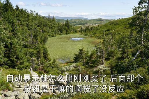 自动暴走鞋怎么用刚刚买了 后面那个按钮是干嘛的啊按了没反应