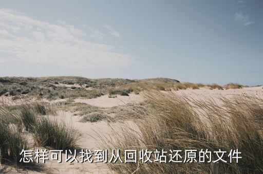 怎样可以找到从回收站还原的文件