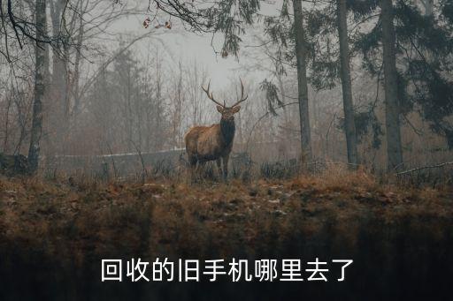 回收的旧手机哪里去了