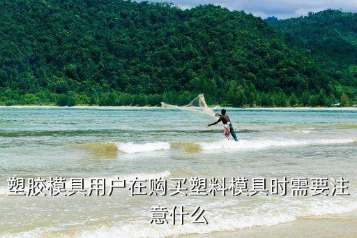 河北哪里可以回收pes，塑胶模具用户在购买塑料模具时需要注意什么