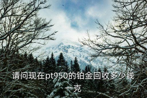 铂金回收怎么算折旧价格，铂金回收多少钱一克 我有一条刚买的铂金项链 买了19000 能卖多少钱