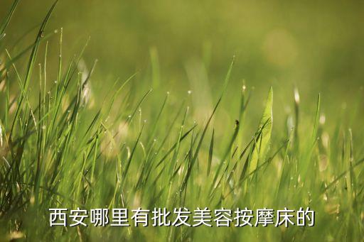 西安足浴按摩床批发市场，西安哪有卖按摩床的店