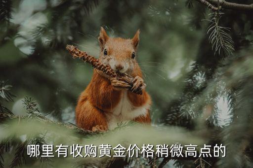哪里有收购黄金价格稍微高点的