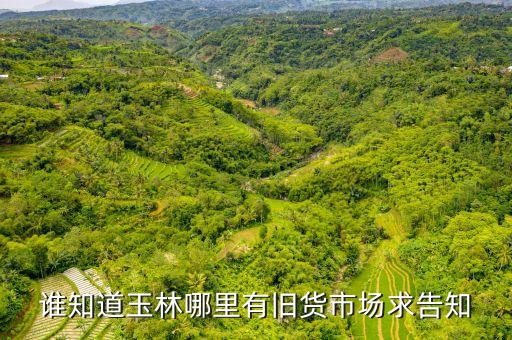 谁知道玉林哪里有旧货市场求告知