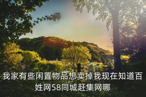 我家有些闲置物品想卖掉我现在知道百姓网58同城赶集网哪
