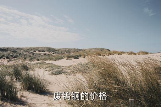 淡水回收钨钢多少钱，废钨钢的价格