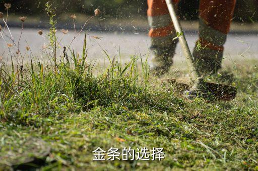 金条的选择