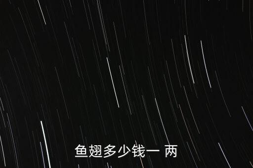 鱼翅多少钱一 两
