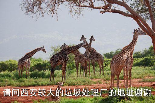 请问西安较大的垃圾处理厂的地址谢谢