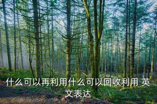 什么可以再利用什么可以回收利用 英文表达