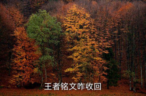 王者铭文咋收回