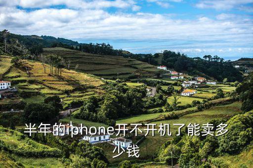 半年的iphone开不开机了能卖多少钱