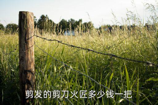 剪发的剪刀火匠多少钱一把