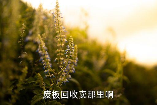 废板材回收，苏州哪里有收废木材的