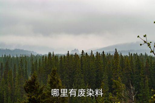 哪里有废染料