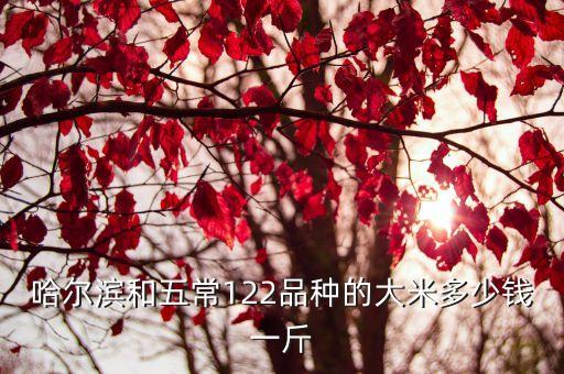 哈尔滨和五常122品种的大米多少钱一斤