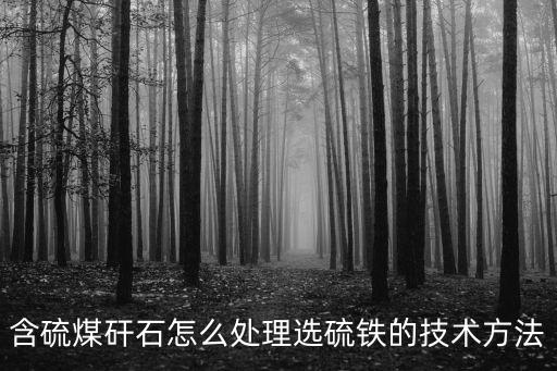 含硫煤矸石怎么处理选硫铁的技术方法